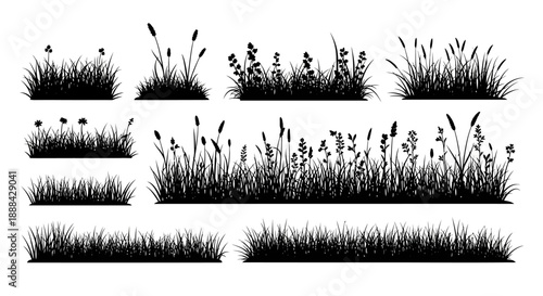 Collection of Silhouette Grasses and Wildflowers on White Background Vector Art