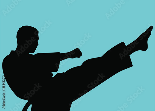 Karate Kick Silhouette Illustrator Artwork Creative Design Template 