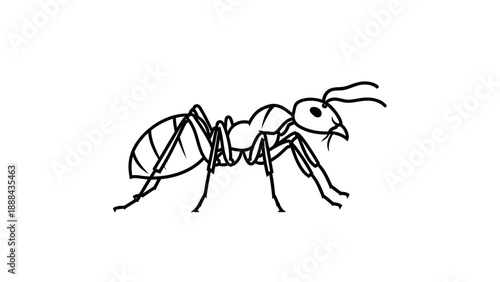 Black and White Line Art Illustration of an Ant