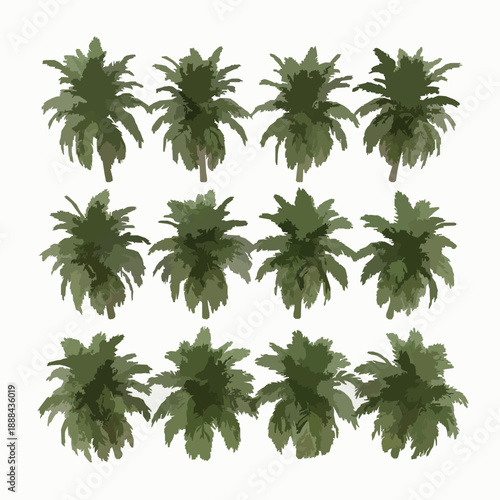Realistic Jelly Palm Tree Canopy Top View 3D Render Collection Isolated