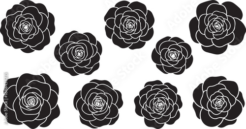 Black and white roses on a plain background illustration