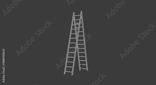Two wooden ladders leaning against each other on a dark background.