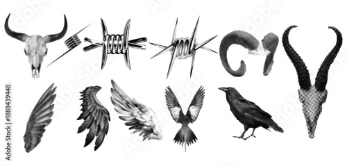 Haftoon Effect Skull Wing Barbed Symbol Illustration