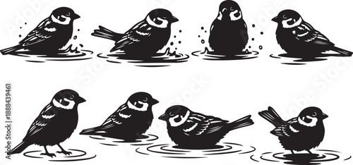 Black and white illustration of birds bathing in water