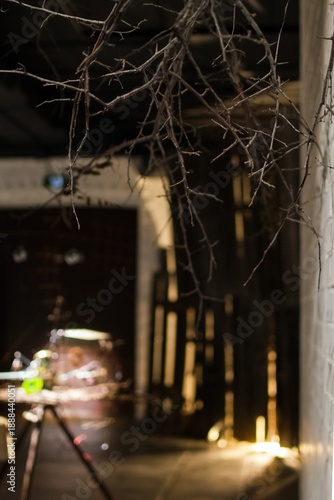 Eerie Atmosphere with Bare Branches and Shadowy Interior, Perfect for Halloween Concepts.