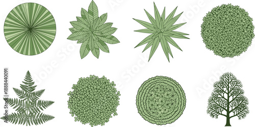 Collection of architectural landscape design symbols showing top-down plan views of garden plants trees ferns and bushes isolated on white background for site planning