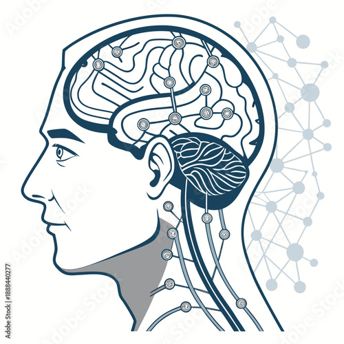 create an image of a man's nurvous system vector design on a white background 