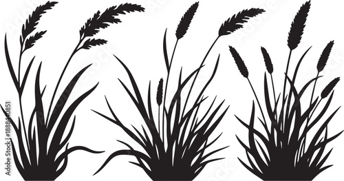 Silhouette of cattails and grass on white background illustration