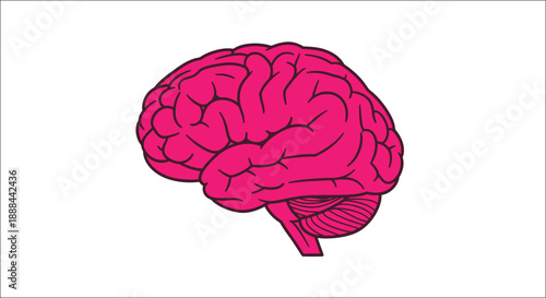 A stylized pink illustration of a human brain with detailed convolutions