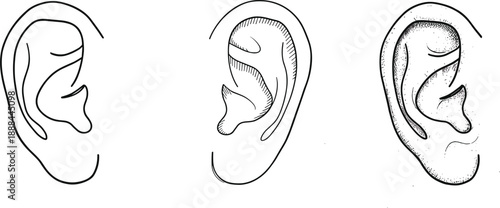 Human ear anatomy illustration set with line dot and detailed styles for hearing medical education branding vector design