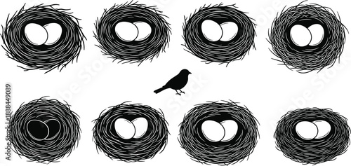 peacock, feather, plumage, bird, exotic, decorative, elegant, nature, symbol, art, vector, illustration, pattern, design, ornament, peacock feather, feather 