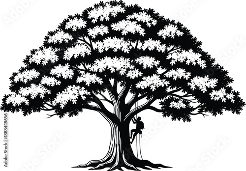 Black and white silhouette of a professional arborist climbing a large oak tree with ropes and harness for tree care service and outdoor adventure