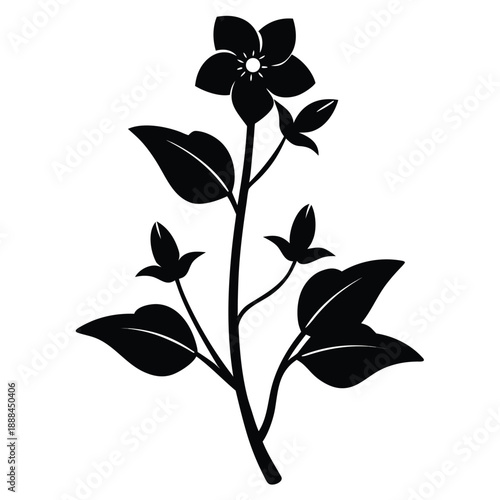  anagallis minima silhouette flower vector