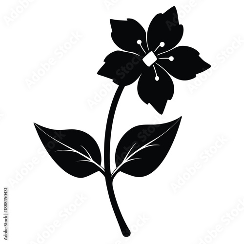 anagallis minima silhouette on white background