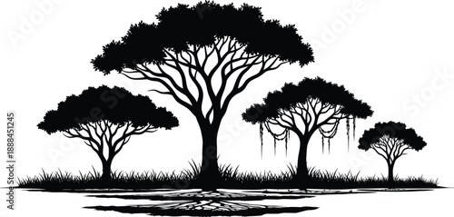 Black and white vector illustration of African savanna acacia tree silhouettes with grass and roots on a white background for minimalist nature landscape design