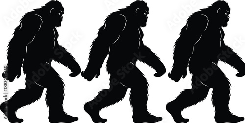Silhouettes of mythical ape-like creature walking in sequence, resembling Bigfoot or Sasquatch for cryptozoology, folklore, and mysterious wildlife illustration themes.