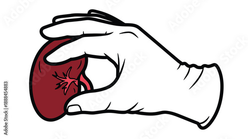 Hand holding red organ emblem icon for transplant awareness, organ donation campaigns and healthcare fundraising vector illustration
