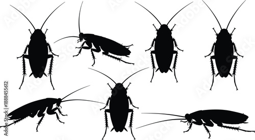 Set of realistic black cockroach silhouettes in various angles isolated on white background, ideal for pest control services and entomology illustrations.