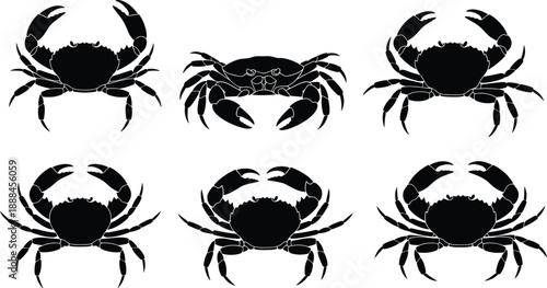 Set of six realistic crab silhouettes in various top view positions for seafood restaurant logos coastal nautical designs and aquatic biology projects