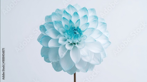 kettledrum. Extreme close-up of a polished copper kettledrum under a spotlight. product launch decks, UI/UX mockups, designed for product launches and innovation pitches, used by project managers.