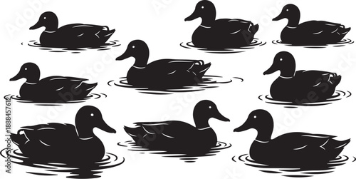 Black ducks swimming in water on white background illustration