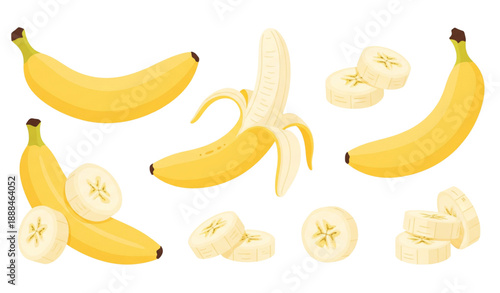 Fresh banana fruit vector illustration set with peeled and sliced bananas