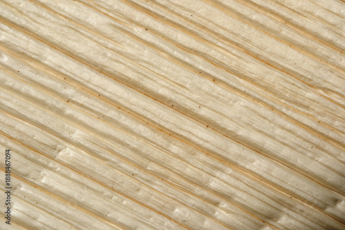 Textures of nature reveal beauty in layered stone patterns