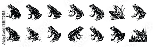 Black and White Frog Vector Illustrations – High-Quality Amphibian Clipart