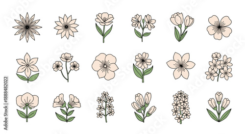 Diverse collection of delicate pink flower illustrations with green leaves shown in a systematic grid on a white background.