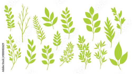 basic floral sketch comprising twigs leaves herbs