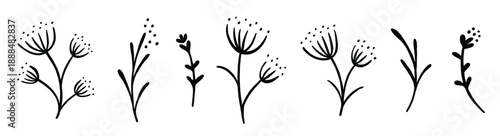 black floral sketches set hand drawn botanical elements