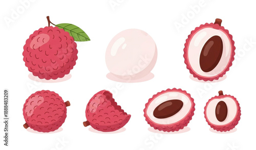 Lychee fruit cartoon vector set with peeled and whole lychees