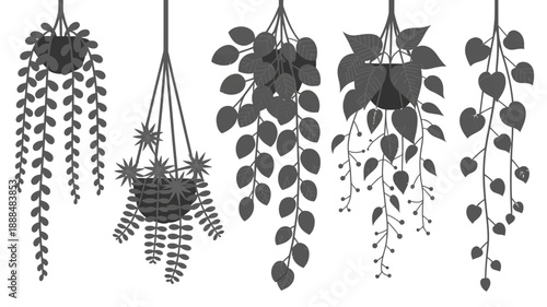 Hanging Plants Collection Indoor Decoration Home Garden