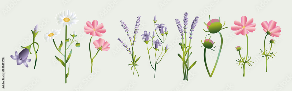 Fototapeta premium flower vectors collection