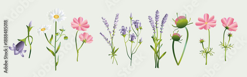  flower vectors collection