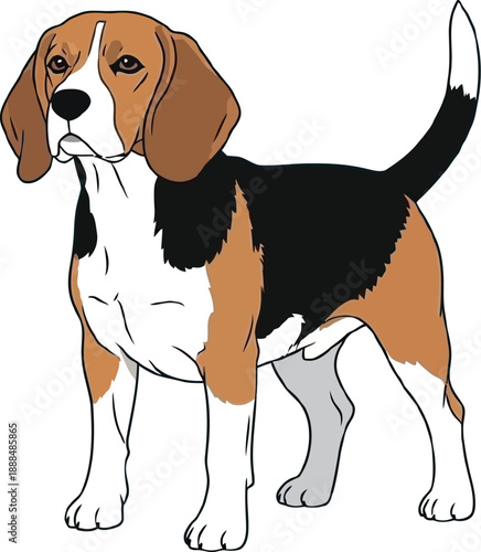 A cartoon illustration of a friendly beagle dog standing on a white background