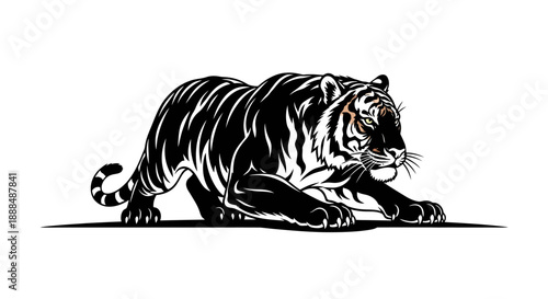 Black and white illustration of a tiger in a stalking pose.