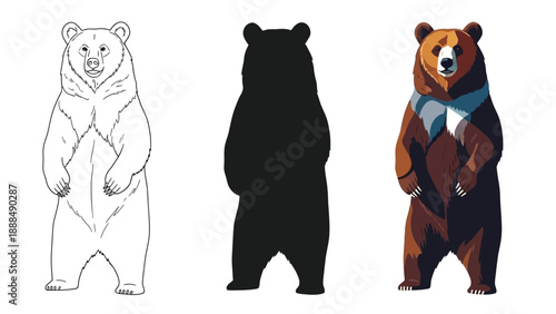 Collection of stylized standing bear illustrations showing line art silhouette and colorful graphic design variations