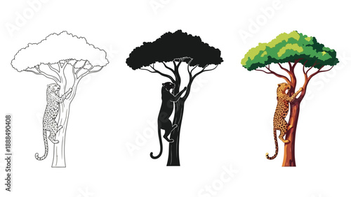 Collection of leopard climbing an acacia tree showcasing outline silhouette and full color vector art styles for design projects