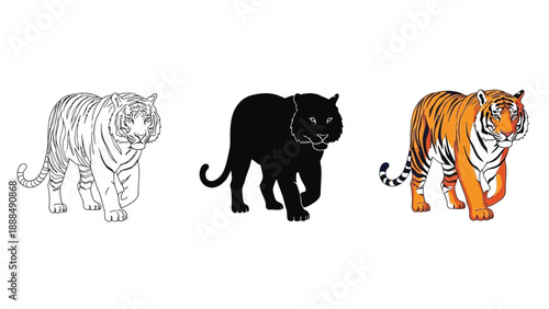 Collection of three distinct tiger illustrations featuring a detailed line art drawing a solid silhouette and a vibrant color graphic