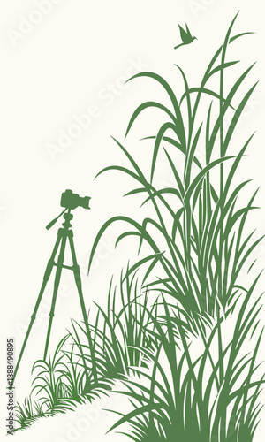 Silhouette of a Birdwatcher with Tall Grass and a Bird.