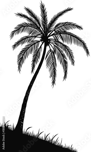 Silhouette of a Palm Tree on a Tropical Beach 1.