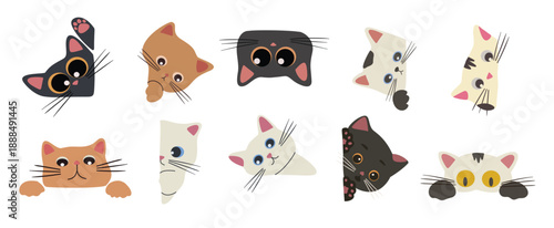  cute and playful illustration of a cat head peeking out