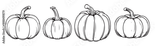 collection of graphic hand drawn ink pumpkins for your design