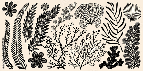 Vintage botanical illustration featuring various detailed plant and leaf sketches