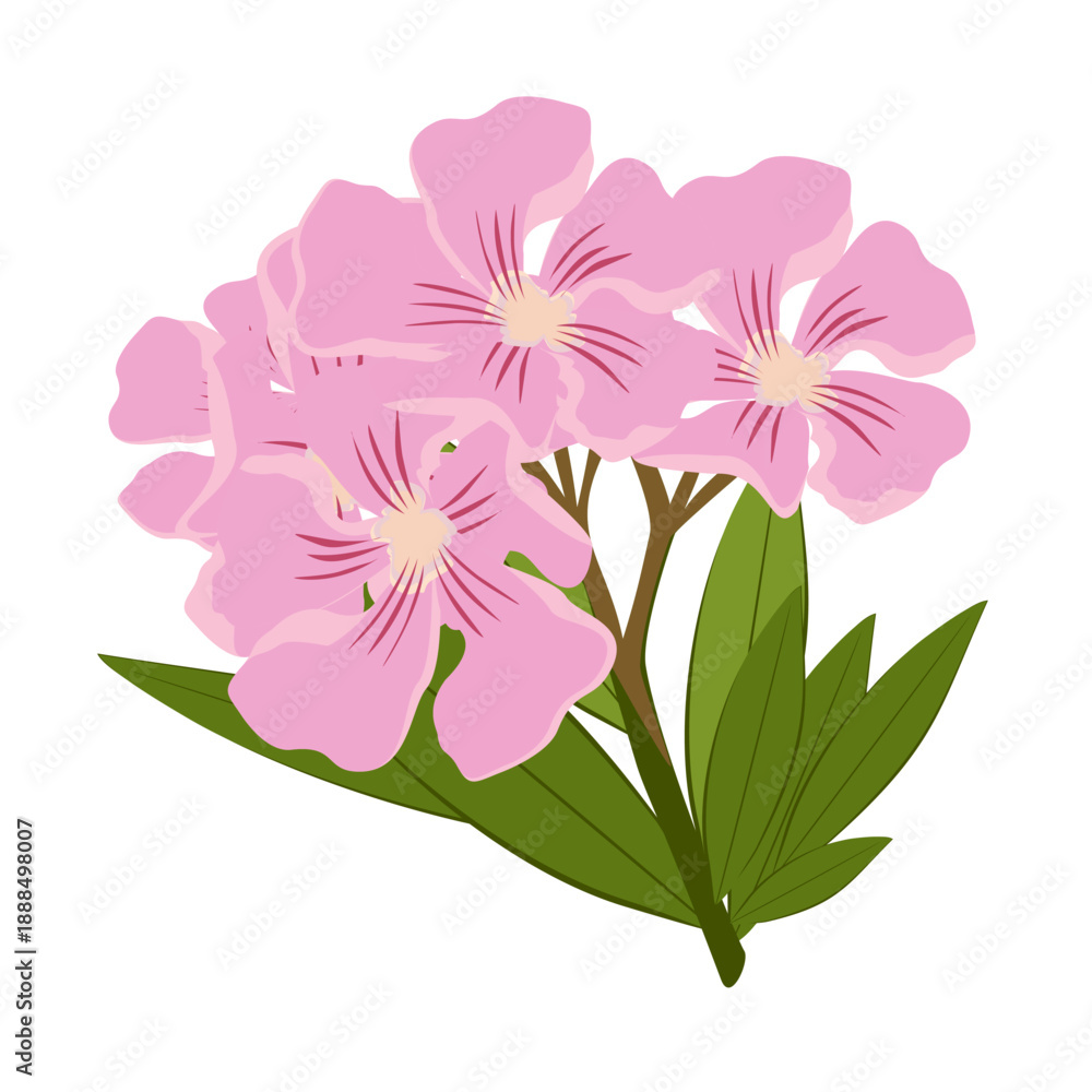 Obraz premium pink flower vector