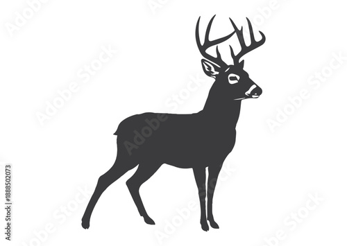 Whitetail deer buck silhouette, black and white wild stag with large antlers, minimalist forest animal vector illustration for hunting logo and nature design