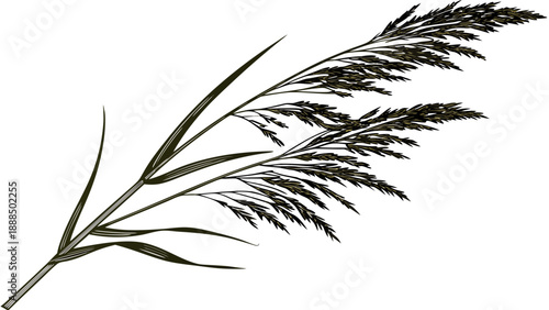 Abstract Teal Grass Against White Background A Minimalist Aesthetic.