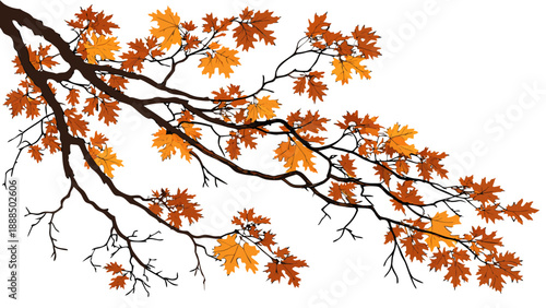 Autumnal Branch with Colorful Leaves on White Background.