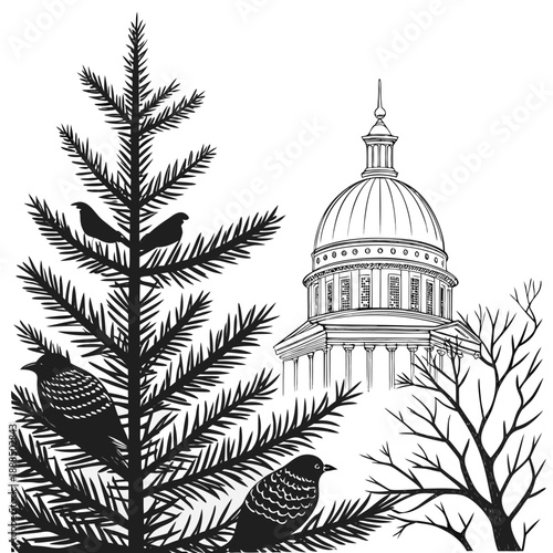 Capitol Building with Birds in Evergreen Tree Silhouette.